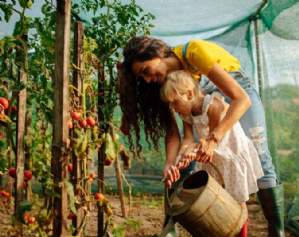 Leisure and Trading Brochure