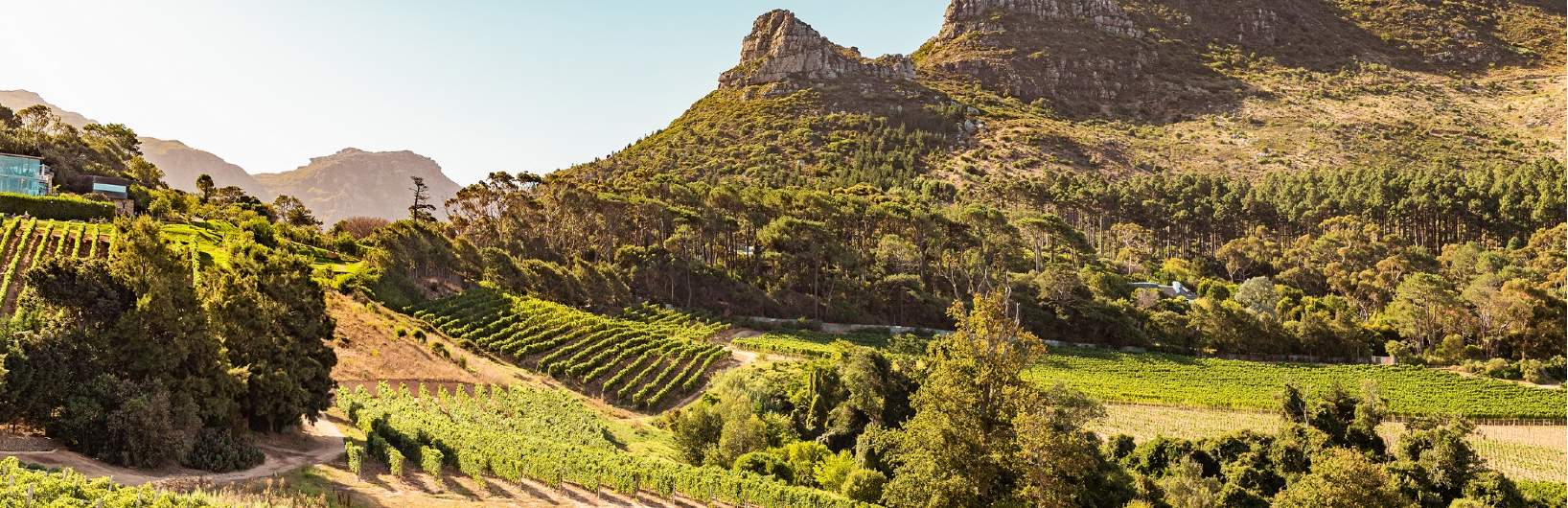 International Rural Consultancy