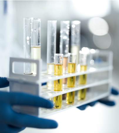 Science & Technology