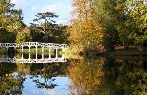 Surrey estate agents